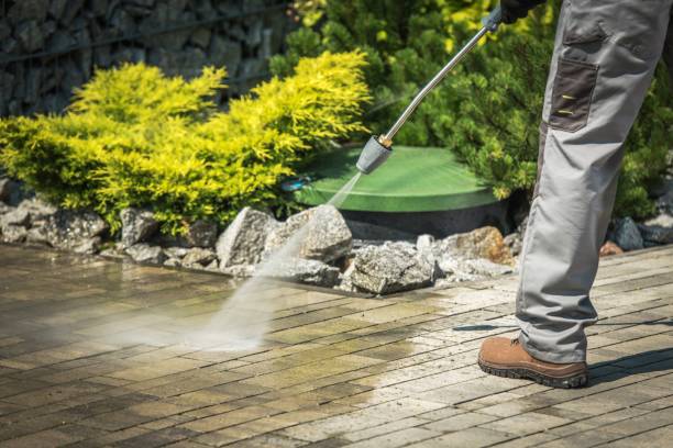 Best Patio and Deck Pressure Washing  in Northfield, MN