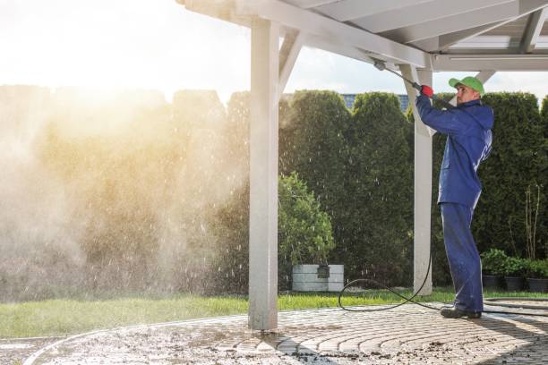 Best Driveway Pressure Washing  in Northfield, MN
